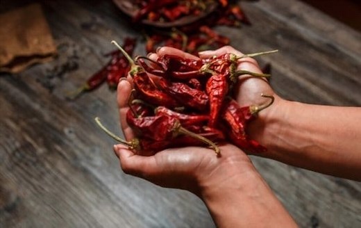 Delicious Shifts: 5 BEST Substitutes for Ancho Chili Powder 2026