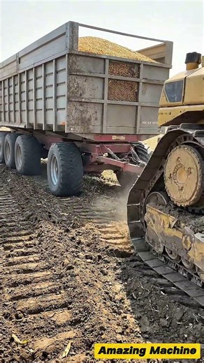 Bulldozer Pulling a Corn Trailer?! #truck