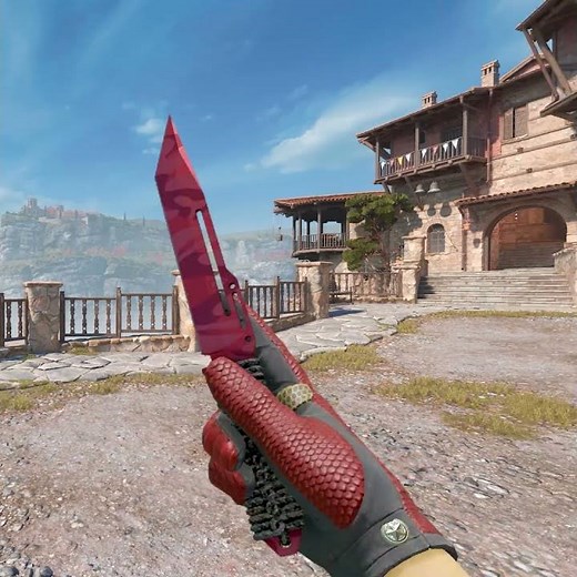 Driver Gloves Dragon Fists and Paracord Knife Slaughter Combo | CS2 (2026)