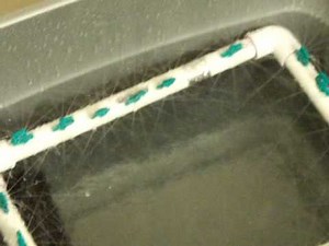 DO IT YOURSELF CLONE MACHINE