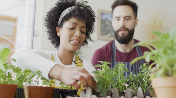 9 Household Items You Can Repurpose Instead of Throwing Away