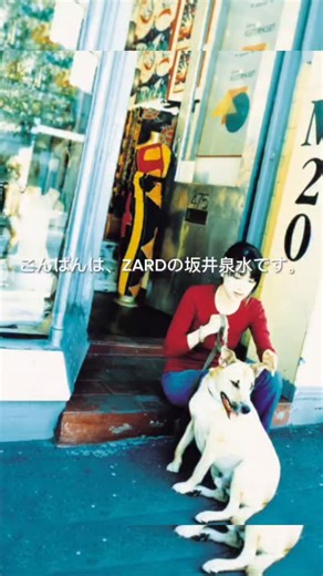 Hakusui_diary♪ | 泉水さん♪カレイドスコープ 『時間の翼』 2001年2月15日リリース ZARD9枚目アルバム 本日アニバーサリーです♪ ZARDデビュー10周年を記念したアルバムには、坂井泉水さんのこだわり抜いた楽曲達が収録されました。... | Instagram