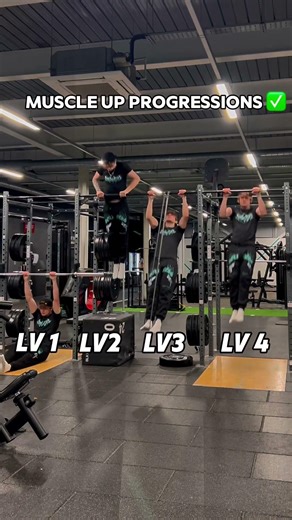 Muscle up progressions ✅🤝 #muscleup #muscleups #calisthenics