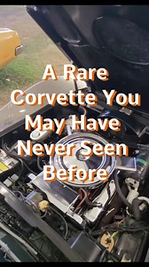 A 70’s Chevy Corvette station wagon? Greenwood Corvette! Rare sports wagon! #chevy #corvette #vette #chevycorvette #ChevyCorvetteStingray #greenwood #sportscar #danaowlett #mruniqueone #mruniqueone1975 #viralreelfb #viral #reels #viralvideo #viraltiktok | Dana Owlett
