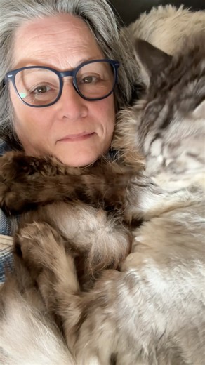 🔉Cuddles and Grooming 😲Me and Bear Sofa Snuggles