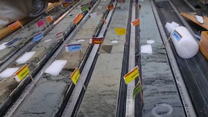 Researchers Bring Ancient Ocean Microbes Back to Life