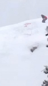 3.1K views · 409 reactions | Vintage inspiration: @marcfrankmontoya F.O.D.T. - Gen Pop 2002  @coletfodt No grab, grab outside or between the knees, MFM can do it the way he wants, it always looks dope! PS: Bonus point for the Technine logo tag on the kicker. #bangingbeesvintageinspiration | BangingBees | Facebook