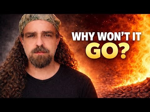 Why Your Past Won’t Let Go — The Torah’s 4-Step Reset #ParashatTzav