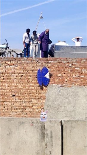 This is the end 🥺🐰🪁 #shorts