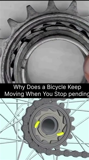 Why Bicycles Don't Stop When You Stop Pedaling 🚲 #automobile #satisfying