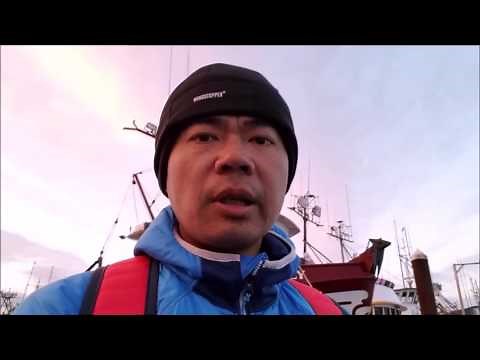 Catching dungeness crabs off a dock