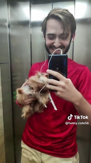 Hilarious Dog Sneezes That Will Make You Laugh