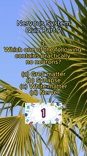 Nervous System Quiz Part 2 How many correct answers can you get? #generalscience #quiz #trivia #challenge #science #fun #knowledge #learning #facts #fun #reelsviral #reelsvideo #reelsinstagram #reelsfb #generalknowledgequiz #trivia #quiz #fun #learning #education #brainteaser #puzzle #knowledge #facts #history #science #geography #literature #art #popculture #currentevents #review #reelsfypシ | QUIZ ZONE