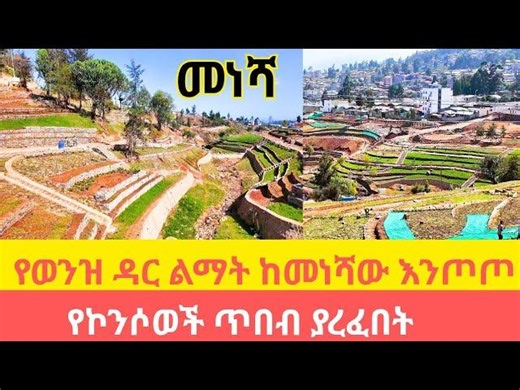 Exploring Addis Ababa s Riverside Development: A Green Urban Oasis | Surafel Taye
