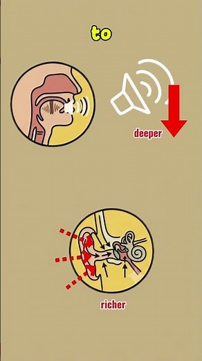 Why your voice sounds WEIRD in recordings? #shorts