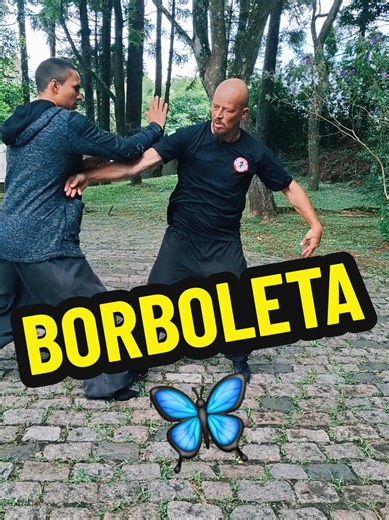 Discover the Secrets of Butterfly Kung Fu Styles