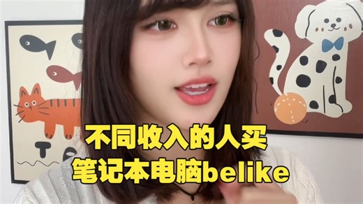 不同收入的人买笔记本电脑belike