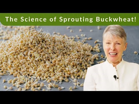 Homemade Sprouted Buckwheat | Crispy, Sweet & Nutritious!
