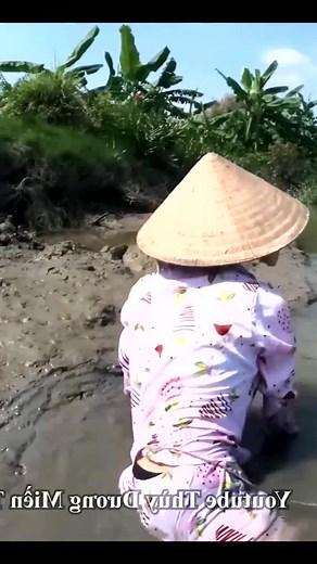 Vietnamese Beautiful girl Catching Fish h #girls #beautiful #fishing #camping #survival #BeautifulGirl