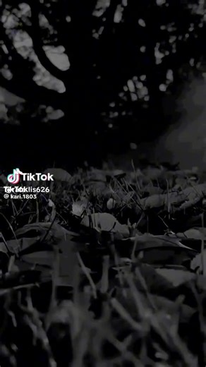 Filmy użytkownika prorok (@miroslaw.radzimski) z muzyką oryginalny dźwięk - prorok