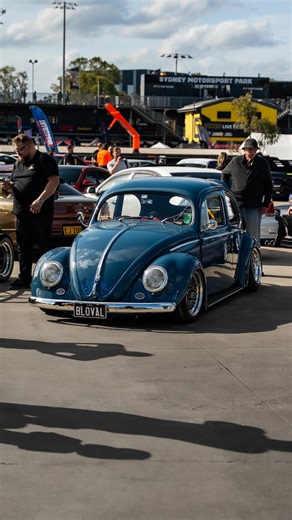 We’ve been bitten by the bug… 🐞 Steve’s supercharged VW Beetle is all controlled by a Nexus S2, with DBW and flex fuel it makes a spicy 145hp! #haltech #haltechecu #supercharged #beetle #vw #oldschool #oldcar #classic #aircooled | Haltech