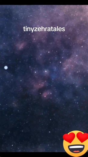 tinyzehratales on TikTok