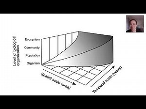 Comparing ecosystems