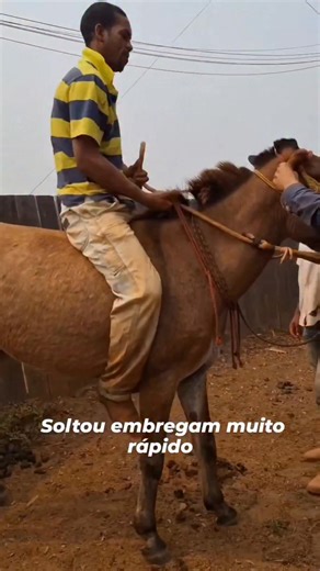 Not me again on horses🤣🤣🤣🤣🤣🤣🤣🤣🤣🤣#yujoo #wordgame #everyoneactivefollowersシfypシ゚viralシalシ #exploitcomedy | Yujoo Ke