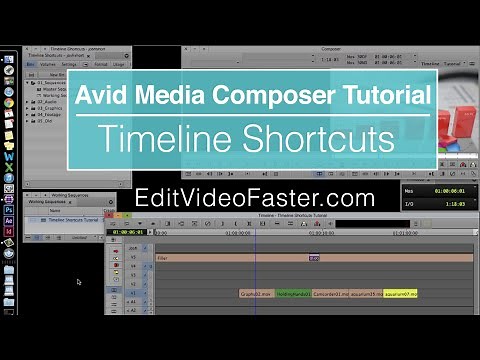 Timeline Zoom Keyboard Shortcuts and Tips in Avid Media Composer