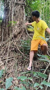 4.9K views · 31 reactions | Monster green snake  #python #snake #fypviralシ #AI #aiart | Mycris Balgum Vlog | Facebook