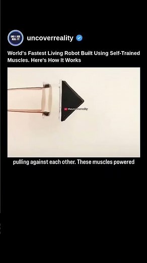 World's Fastest Living Robot Built Using Self Trained Muscles. Here's How 😱 #robot #shorts