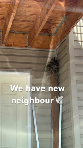 New neighbour is here #wild #animals