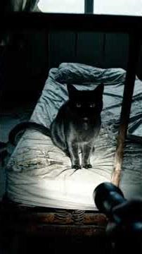 The Silence of Beelitz Heilstätten #scary#shorts #scarystories