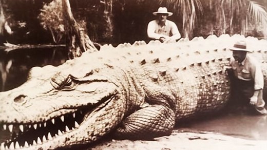 Prehistoric Extinct Animal Caught On Camera Alive #prehistoric #extinct | Most Amazing ELITE