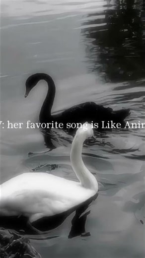 POV her favorite song is like animals #bts #btsarmy #foryou #viral