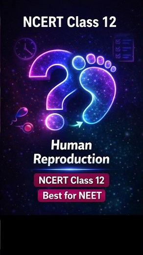 Human Reproduction 13 😱 | NCERT Class 12 | NEET 2026 #Quick Revision Shorts #biology #neetmcqs