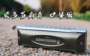 【口琴】贝多芬病毒 用最便宜的半音阶强行吹奏