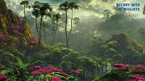 1.7K views · 20 reactions | Prehistoric forests would have looked very different from what we see today. Watch this episode of Botany with the Bluejays, with Dr. Mackenzie Taylor, Associate Professor of Biology at Creighton University, to learn what plants lived during prehistoric times and how the dinosaurs might have interacted with them. | Lauritzen Gardens | Facebook