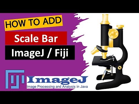 How to add Scale Bar in ImageJ | ImageJ Tutorial | Image processing | Image J software online