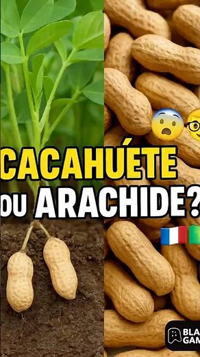 Arachide vs Cacahuète : la vraie différence que personne ne connaît ! 🥜 #shorts