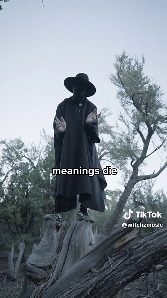 This song broke my morning after release record 🤯, you people are incredible. Thank you so much. Who has heard it? You should add this to your. “Chill” playlists 🖤 #witchz #witchzkvlt #cybergoth #fypシ゚viral #intrusivethoughts #gothaesthetic