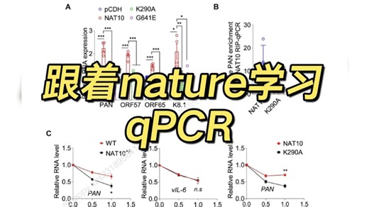 qPCR？real-time PCR？跟着文献看一下这些图是什么意思吧～