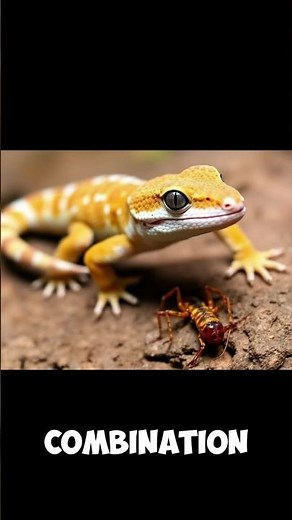 How Do Geckos Stick to Walls? | The Science Behind Gecko Feet