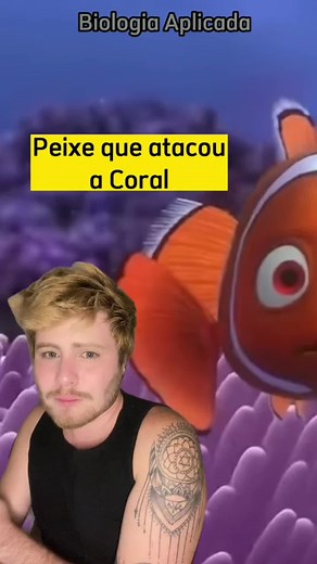 Descubra mais sobre o peixe barracuda em Procurando Nemo!