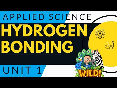BTEC Applied Science Unit 1 - Hydrogen Bonding