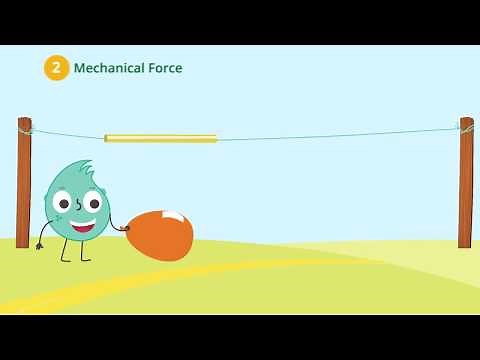 Muscular and Mechanical Force