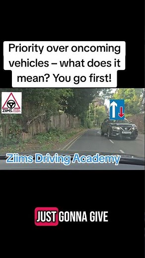Priority over oncoming vehicles? You go first! Know the sign and stay safe. ✅🚗 #DrivingTips