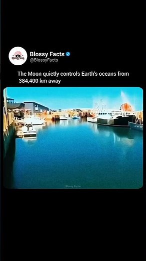 How Does Moon Affect Tides On Earth? 🌊