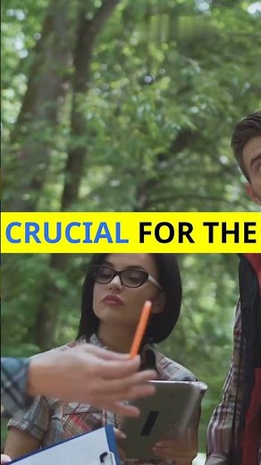 The Secret “Wood Wide Web” Trees Use to Communicate!