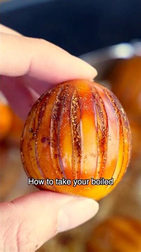 I Thought Eggs Were Boring